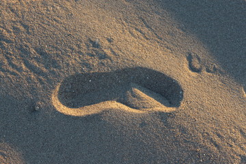 Obraz premium footprint on the sand