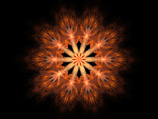 Computer fractal illustration of orange yellow fire flower on black background