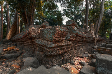 Angkor, dettagli delle mura del Ta Phrom.