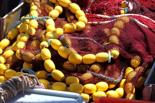bolinche,filet de p&ecirc;che &agrave; la sardine