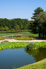 Fototapeta premium Parc Floral, Paris, France