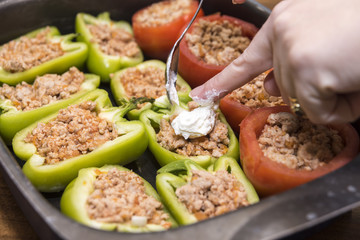 Peppers and tomatoes stuffed with meat