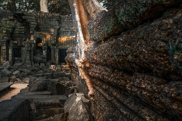 Angkor, dettagli delle mura del Ta Phrom.