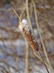 наступила зима