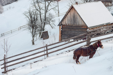 Farm yard on a slope under snow with wooden hut and a horse in the foreground. Winter landscape. Selective focus.