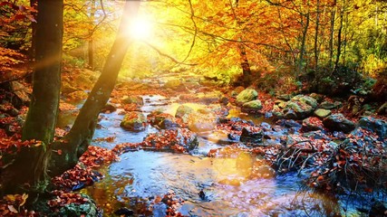 Autumn landscape with forest stream. Fall (autumn) nature background  - Powered by Adobe