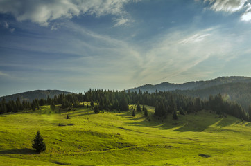 Obraz premium Natural background Romania