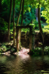 Portal dreamy scene in forest at lake