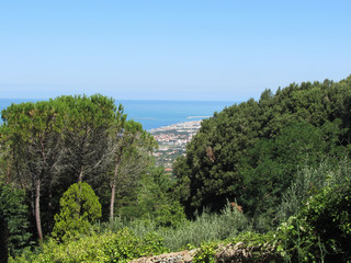 Fototapeta na wymiar Panoramic aerial glimpse into the vegetative landscape of Livorno city from the nearby hills of Montenero , Tuscany Italy
