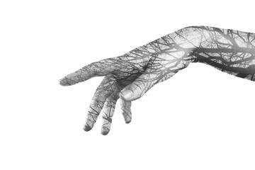 Hand and tree. Double exposure