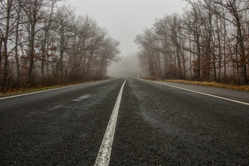 Fototapeta na wymiar Autumn road and fog 