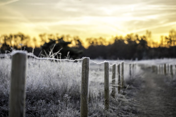 Weg zum Horizont an einem eisigen Wintermorgen