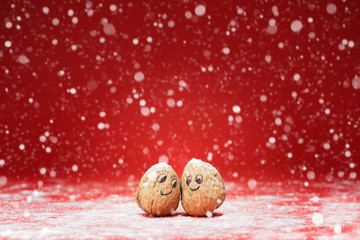 Cute walnut couple in heavy snowfall - Christmas Card