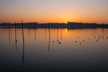 Fototapeta na wymiar Sonnenuntergang am Pfäffikersee
