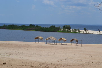 24 20 river tree summer manaus brazil selva