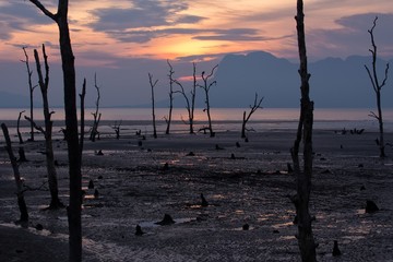 Sunset on a muddy tropical area