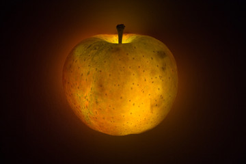 leuchtender Apfel 3522