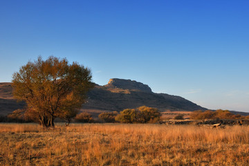 Obraz premium Atumn in the mountains