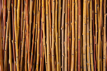 Background of willow twigs. Yellow branches. © vaitekune