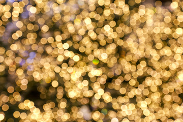 gold light of chrismas bokeh