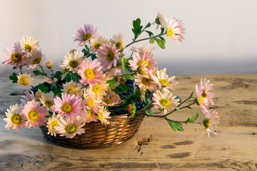 bouquet of pale pink chrysanthemums in a basket on a  table