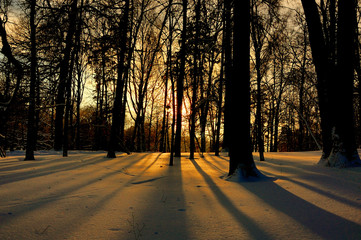 Warm snow/Winter Sunny day in the Park. Moscow, Russia. The shadows fall on the snow