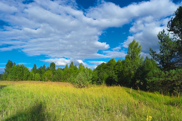 Beautiful summer scenery with trees, grass and blue cloudy sky. Scenic natural landscape.