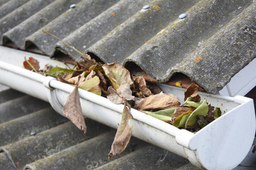 Rain Gutter Cleaning from Leaves in Autumn. Leaves and Dirt in the Rain Gutter Pipe.