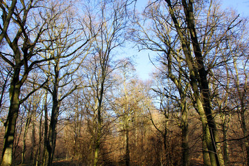 Wandern im WienerWald