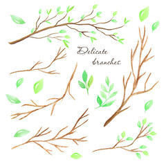 Watercolor tree branches set for decor