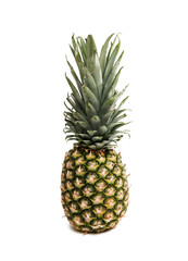 Fototapeta premium Fresh whole pineapple.