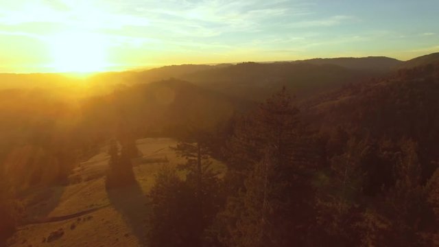 Aerial shot slowly panning and lowering with a view of redwood forest and meadows at sunset in the hills of California. Dazzling sunlight with lens flare. Warm golden hour light.