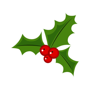 mistletoe flat icon