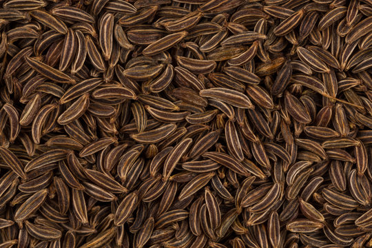 Close up caraway seeds