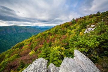Early autumn view of the Blue Ridge Mountains from Hawksbill Mou