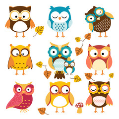pattern owl