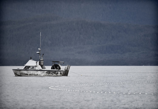 Alaskan Driftnet Fishing