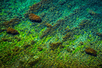 nearshore shallow water