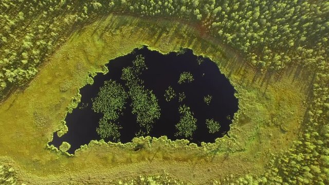Aerial rotating view of a bog lake with winding peat shores in Finland