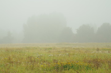 Obraz na płótnie Canvas Landschaft im Nebel