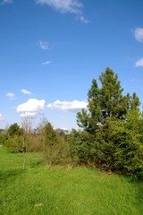 Eine sonnige Landschaft