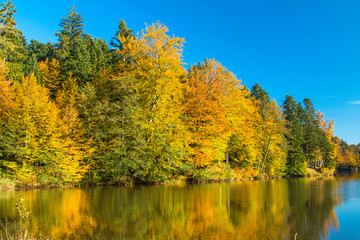 Reflection of trees on Trakoscan lake in Zagorje, Croatia, season, autumn