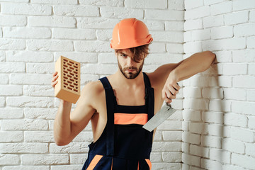 sexy muscular man builder