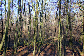Wandern im WienerWald