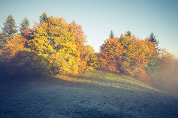 Autumn forest in Pieniny mountains, Poland