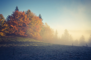 Fototapeta na wymiar Autumn forest in Pieniny mountains, Poland