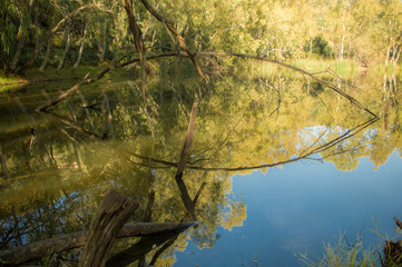 Fototapeta premium Sicilian lake in Nebrodi Mount 