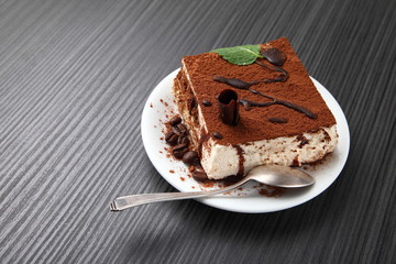 tiramisu dessert on a porcelain plate/ tiramisu dessert on a porcelain plate