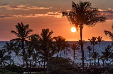 Fototapeta na wymiar Palm trees silhouettes in tropical island beach sunset