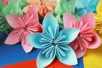 Разноцветные бумажные цветки